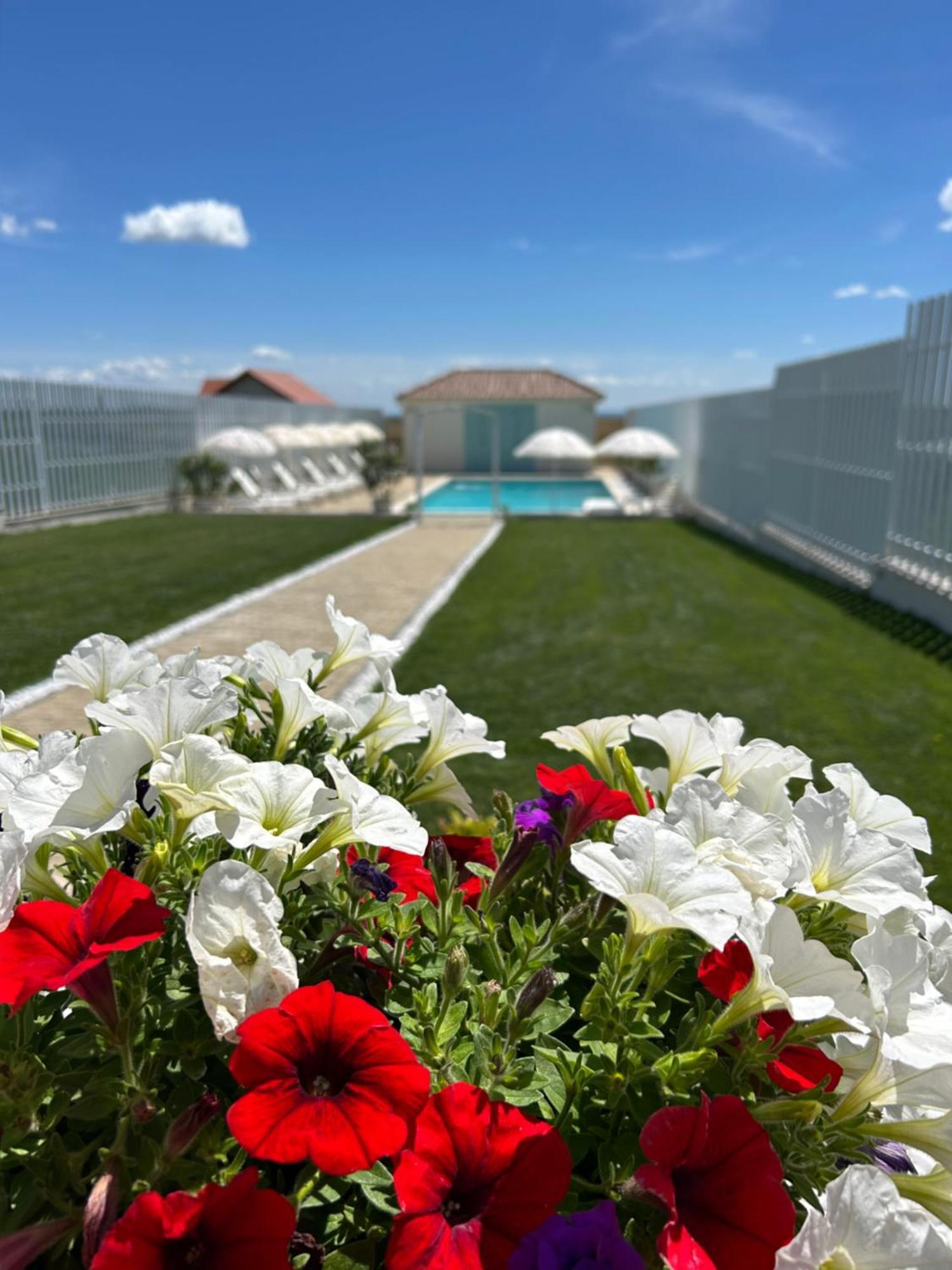 Bed and Breakfast Alma Rezidence Turda Esterno foto